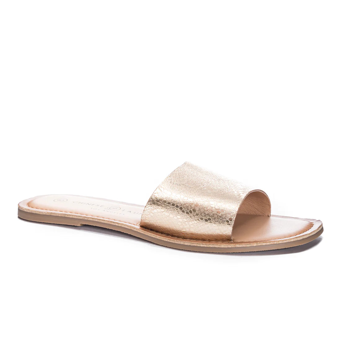 Regina Slide